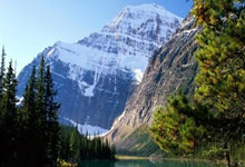 问鼎游戏-关于内马尔连续十五场比赛得分超过败北，公牛挑战极限！的信息